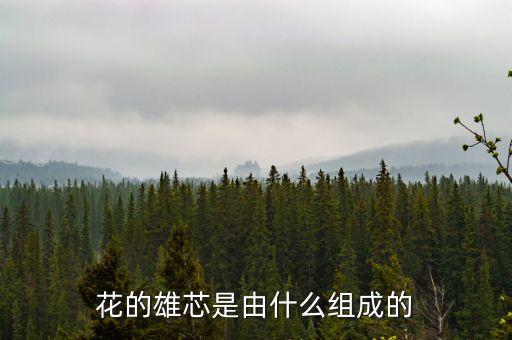 雄芯，菠蘿蜜的雄芯能吃嗎