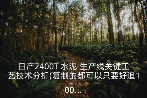 日產(chǎn)2400T 水泥 生產(chǎn)線關(guān)鍵工藝技術(shù)分析(復(fù)制的都可以只要好追100...