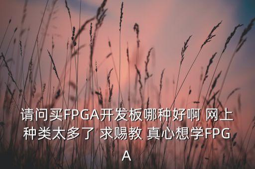 fpga開發(fā)板，fpga初學(xué)者小白開發(fā)板怎樣選型啊預(yù)算2000以內(nèi)買那一款比較合適啊
