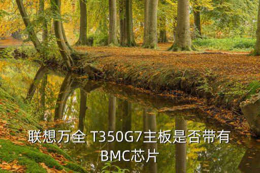 聯(lián)想萬全 T350G7主板是否帶有BMC芯片