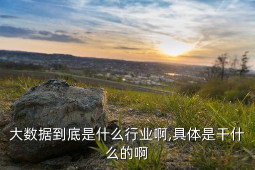 大數(shù)據(jù)到底是什么行業(yè)啊,具體是干什么的啊