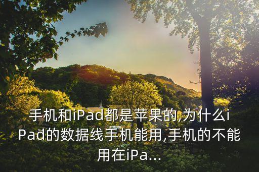 組裝蘋果數(shù)據(jù)線能用嗎,蘋果數(shù)據(jù)線和手機(jī)充電線可以共用嗎?