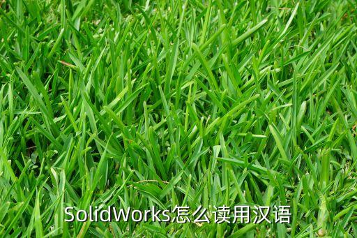SolidWorks怎么讀用漢語(yǔ)