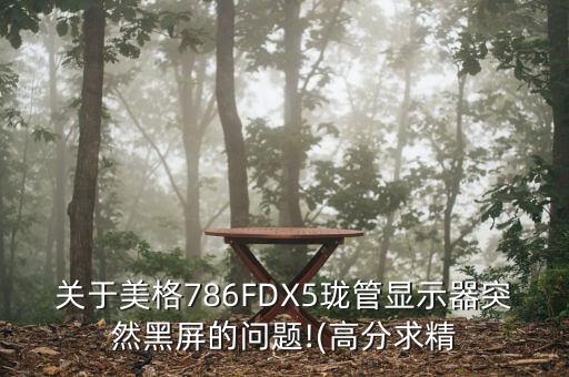 關(guān)于美格786FDX5瓏管顯示器突然黑屏的問(wèn)題!(高分求精