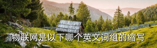 物聯(lián)網(wǎng)是以下哪個英文詞組的縮寫