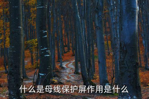 什么是母線保護(hù)屏作用是什么