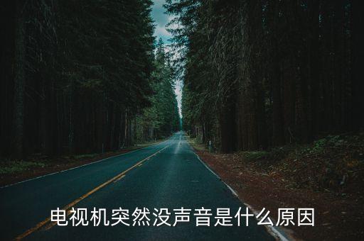 電視機突然沒聲音是什么原因