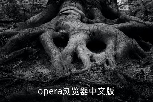 opera瀏覽器中文版