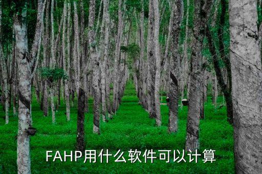 FAHP用什么軟件可以計算
