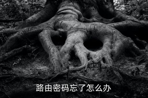 路由密碼忘了怎么辦