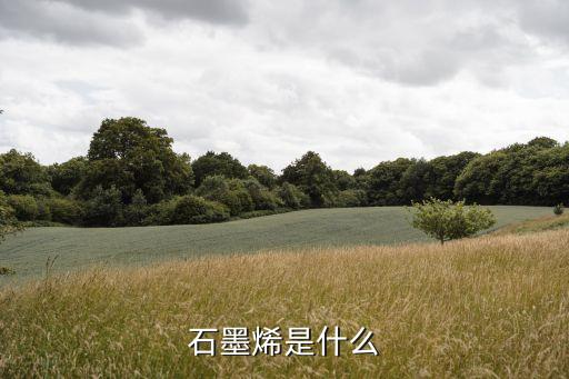 石墨稀，石墨烯的化學(xué)性質(zhì)