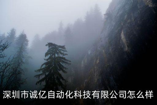 深圳市誠億自動化科技有限公司怎么樣
