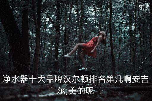 凈水器十大品牌漢爾頓排名第幾啊安吉爾,美的呢