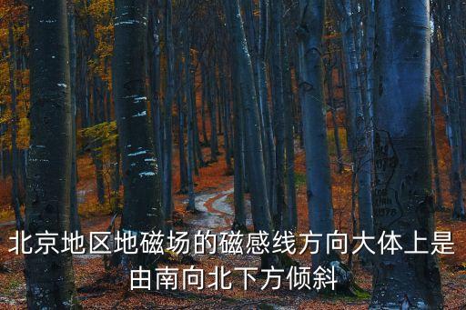 北京地區(qū)地磁場的磁感線方向大體上是由南向北下方傾斜