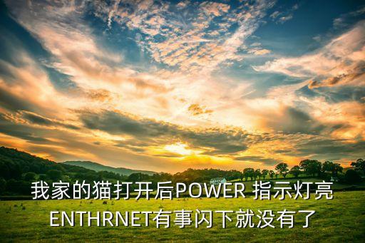 我家的貓打開后POWER 指示燈亮ENTHRNET有事閃下就沒有了