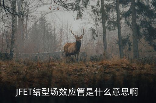 JFET結(jié)型場(chǎng)效應(yīng)管是什么意思啊