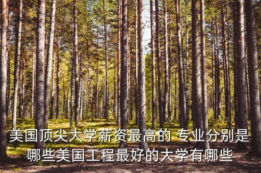 美國(guó)頂尖大學(xué)薪資最高的 專(zhuān)業(yè)分別是哪些美國(guó)工程最好的大學(xué)有哪些