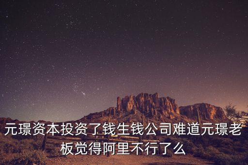 元璟資本投資了錢生錢公司難道元璟老板覺得阿里不行了么
