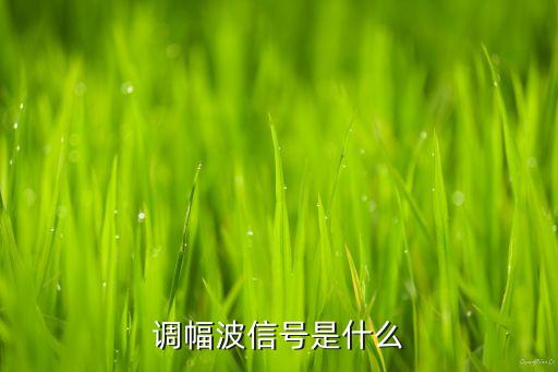 調(diào)幅波，調(diào)幅波信號是什么