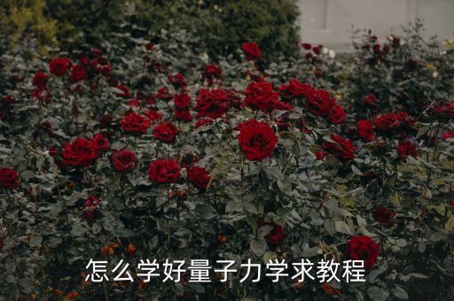 量子力學(xué)教程，怎么學(xué)好量子力學(xué)求教程