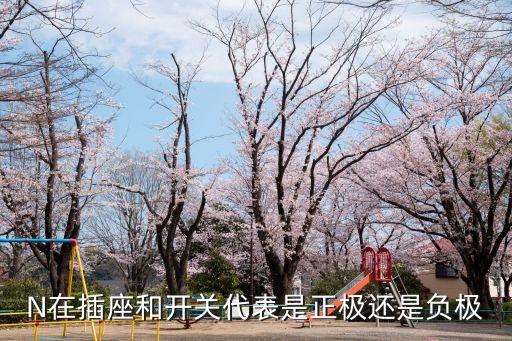 N在插座和開(kāi)關(guān)代表是正極還是負(fù)極