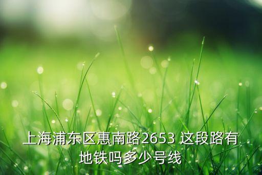 上海浦東區(qū)惠南路2653 這段路有地鐵嗎多少號線
