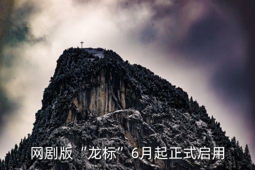龍標(biāo)自動化有限公司,蘇州工業(yè)園區(qū)廣告公司名字大全廣告牌
