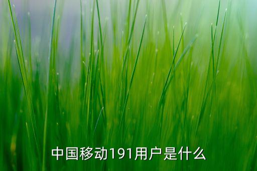 中國移動191用戶是什么