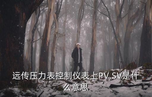 電氣自動化sv是什么意思,電動表切換開關的作用是什么?