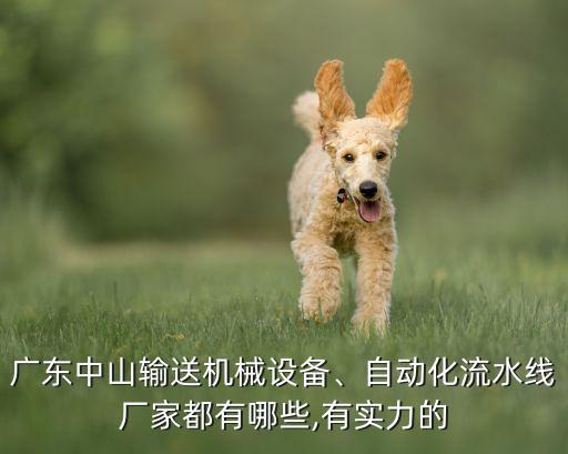 廣東中山輸送機(jī)械設(shè)備、自動(dòng)化流水線廠家都有哪些,有實(shí)力的