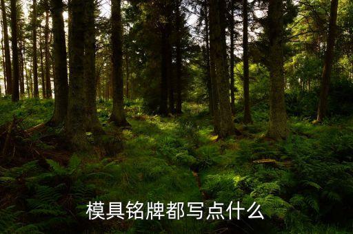 模具銘牌都寫點什么