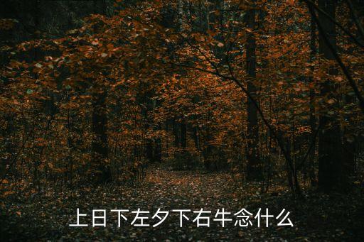 上日下左夕下右牛念什么
