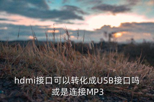 hdmi接口可以轉(zhuǎn)化成USB接口嗎 或是連接MP3