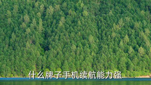 什么牌子手機續(xù)航能力強