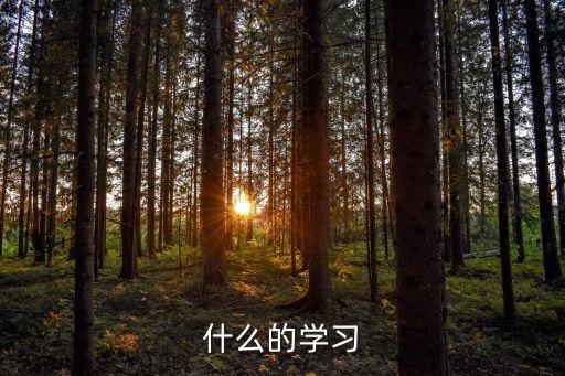 什么的學習