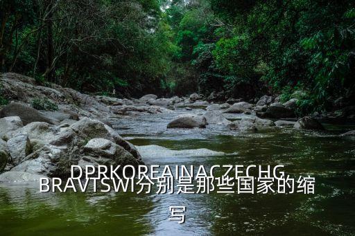 DPRKOREAINACZECHGBRAVTSWI分別是那些國家的縮寫