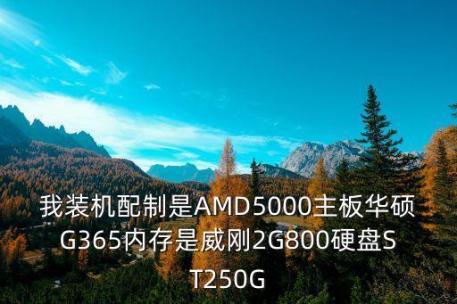 我裝機(jī)配制是AMD5000主板華碩G365內(nèi)存是威剛2G800硬盤(pán)ST250G