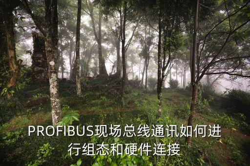 PROFIBUS現(xiàn)場總線通訊如何進行組態(tài)和硬件連接