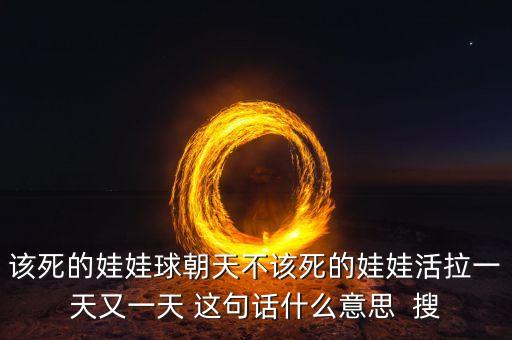 該死的娃娃球朝天不該死的娃娃活拉一天又一天 這句話什么意思  搜