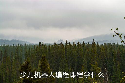 少兒機器人編程課程學(xué)什么