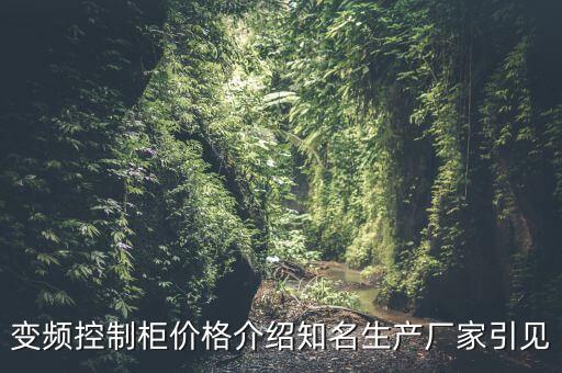 玉林電氣自動化控制柜,變頻器控制柜結構:開關的電氣柜