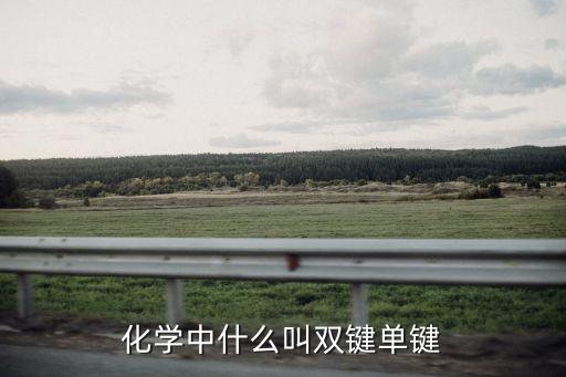 化學中什么叫雙鍵單鍵