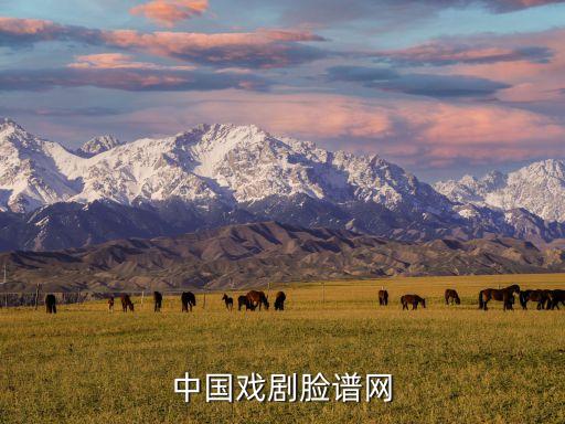 中國(guó)戲劇臉譜網(wǎng)