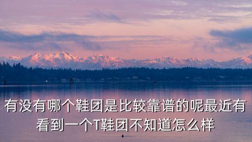有沒有哪個鞋團是比較靠譜的呢最近有看到一個T鞋團不知道怎么樣