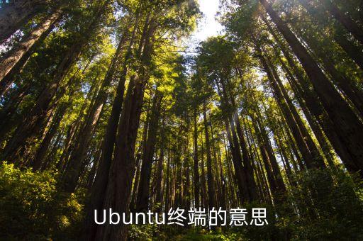 Ubuntu終端的意思
