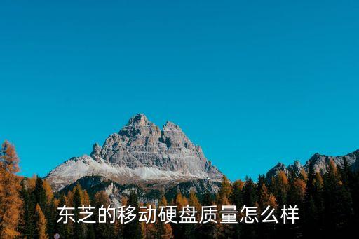 東芝的移動(dòng)硬盤(pán)質(zhì)量怎么樣
