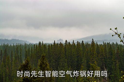 時尚先生智能空氣炸鍋好用嗎
