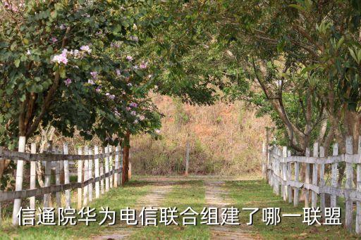 信通院華為電信聯(lián)合組建了哪一聯(lián)盟
