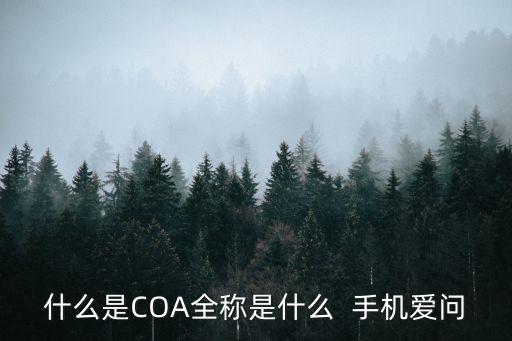 什么是COA全稱是什么  手機(jī)愛問