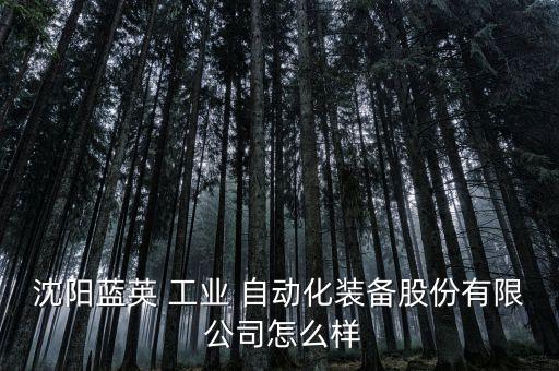 沈陽藍英 工業(yè) 自動化裝備股份有限 公司怎么樣